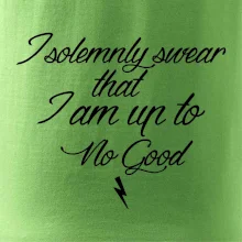 I solemnly swear that I'm up to no good