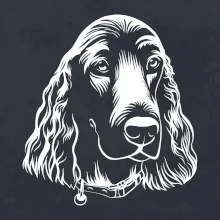 Kokršpaněl - hlava kreslená