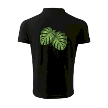 Monstera - dva listy