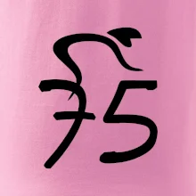 Cyklista slaví pětasedmdesátku (75)