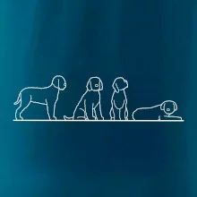 Lagotto romagnolo postavy linka