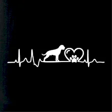 Německý boxer EKG Německý boxer EKG