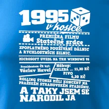 1995 v kostce