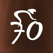 Cyklista slaví sedmdesátku (70)
