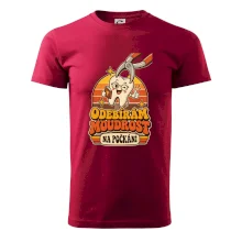 Odebírám moudrost na počkání