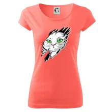 Kočka v roztrženém triku