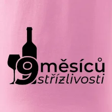 9 měsíců střízlivosti