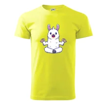 Yoga meditace - lama