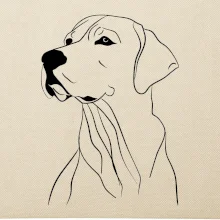 Labrador černá kresba