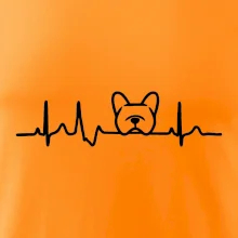 EKG Francouzský buldoček hlava