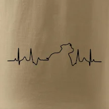 Stafordšírsky bulteriér EKG