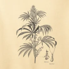 Konopí kytka černobílá