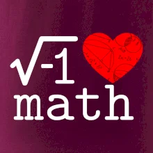 I love math