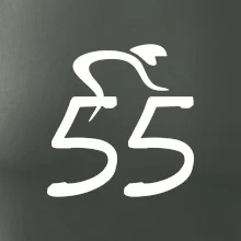 Cyklista slaví pětapadesátku (55)