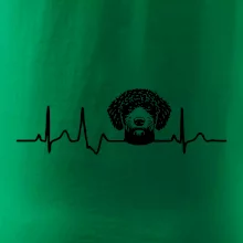 Lagotto romagnolo hlava EKG