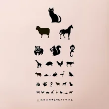 Oční test zvířatka