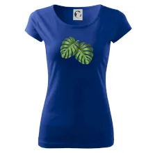 Monstera - dva listy