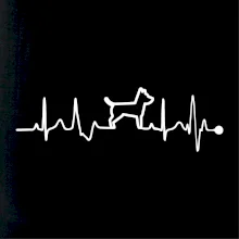 Ekg psí obrys Ekg psí obrys