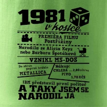 1981 v kostce