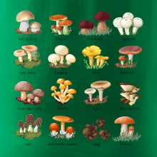 Atlas hub - triko s houbami