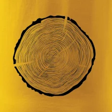 Letokruhy 55 bez věku