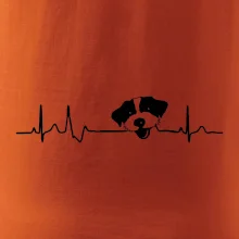 Jack Russell Terriér hrubosrstý Ekg