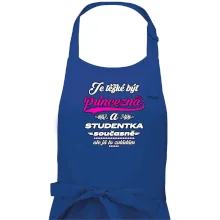 Je těžké být princezna - studentka