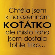 Chtěla jsem dostat k narozeninám koťátko