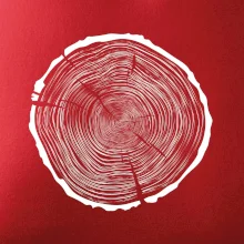 Letokruhy 85 bez věku