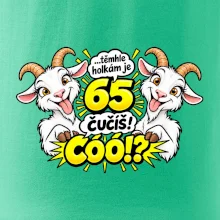 Těmhle holkám je 65, čučíš co?