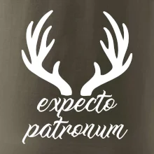 Harry - Expecto patronum