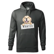 Zlatý retriever - štěně wanted