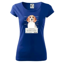 Lump a darebák bígl