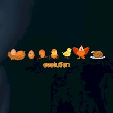 Ovolution Ovolution