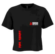 SDH nápis (oheň, firesport, název sboru - vlastní nápis)