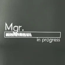 In progress titul Mgr.  magistr / magistra