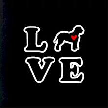 Lagotto romagnolo LOVE