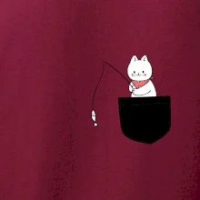 Kočka s rybou v kapse