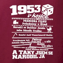 1953 v kostce