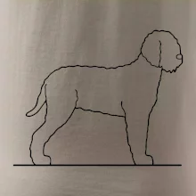 Lagotto romagnolo stojící