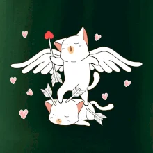 Kočky Amorův šíp