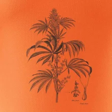 Konopí kytka černobílá