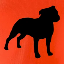 Americký stafordširský teriér  Na prsu