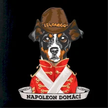 Napoleon domácí pes kříženec