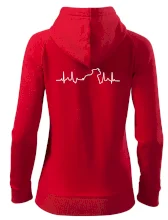 Stafordšírsky bulteriér EKG