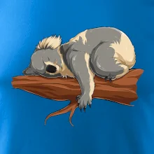 Koala na větvi