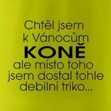 Chtěl jsem dostat k Vánocům koně