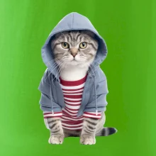 Kočka v pruhovaném triku