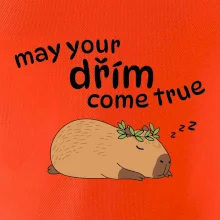 May your dřím come true