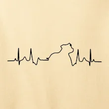 Stafordšírsky bulteriér EKG